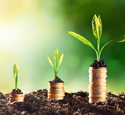 Employment Investment Incentive (EII)